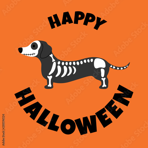 Dachshund in skeleton coustume Halloween  greeting card
