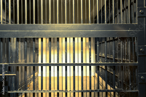 Looking inside an iron cage © Yohsuke