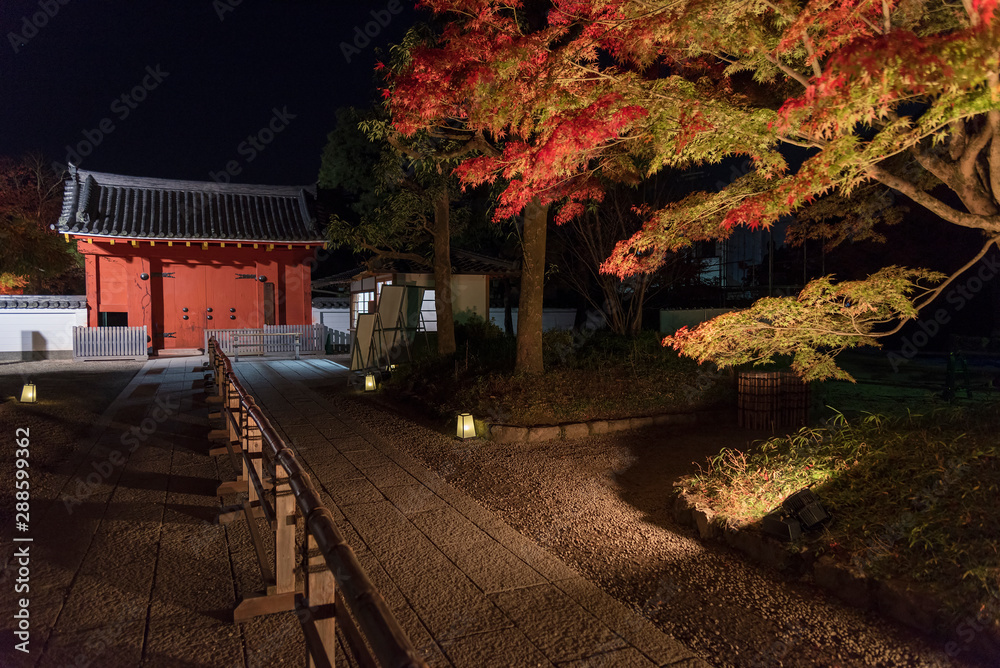 Entrance of traditional Japanese house in autumn season at night