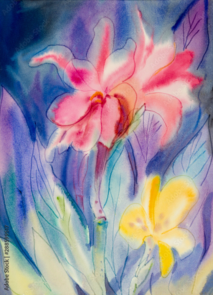 Abstract watercolor painting colorful of canna lily flower