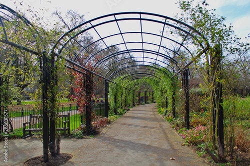 arch in the park