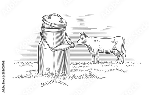 Milk can and cow engraving