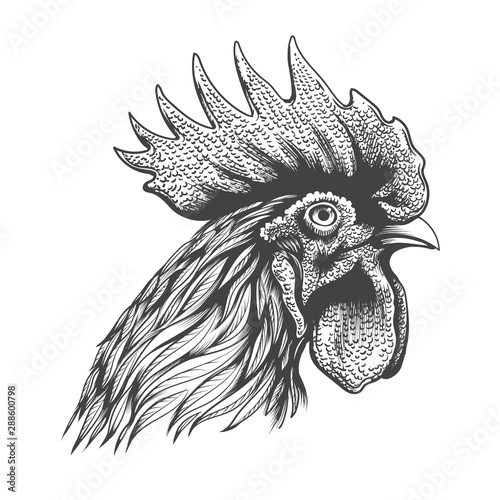 Rooster head engraving