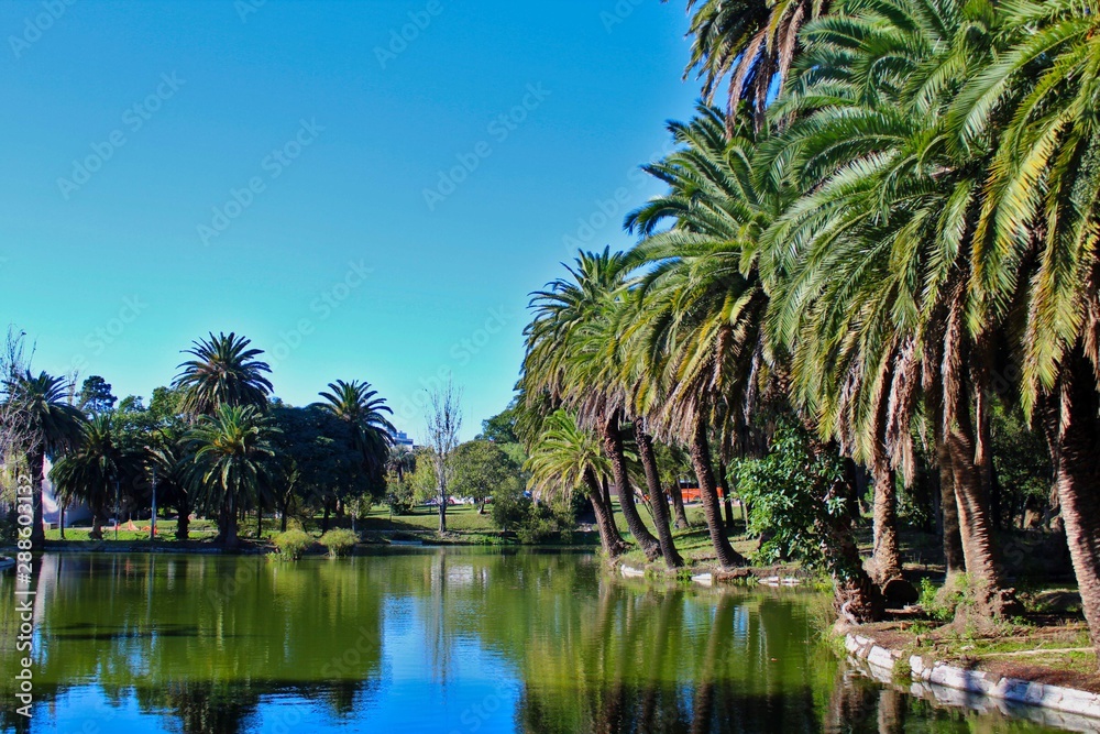 Obraz premium lake in the garden