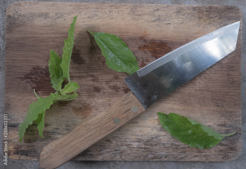 garden trowel and leaves