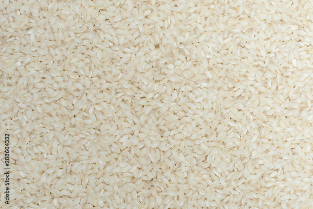 Top view japan rice for rice background Top view japan rice for rice background