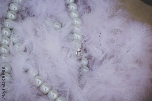 Elegant and beautiful pearl necklace above feather.