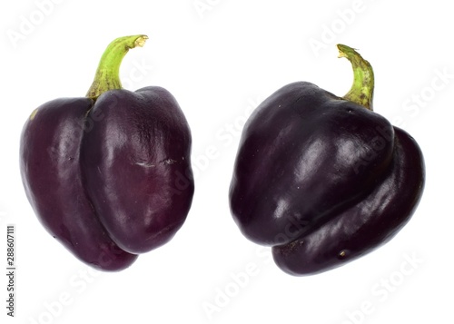 Purple bell pepper isolated on a white background. Side view