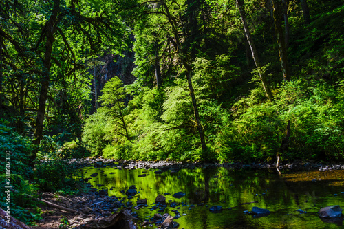 Reflections on the Lewis River