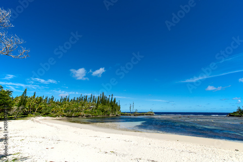 ニューカレドニア ロイヤルティ諸島 マレ島 メビットビーチのサンゴ礁