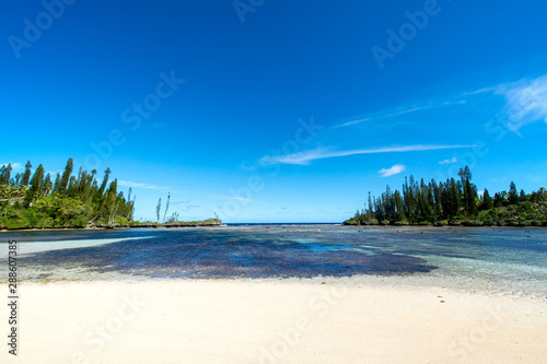 ニューカレドニア ロイヤルティ諸島 マレ島 メビットビーチのサンゴ礁