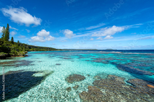 ニューカレドニア ロイヤルティ諸島 マレ島 ペジェビーチのサンゴ礁