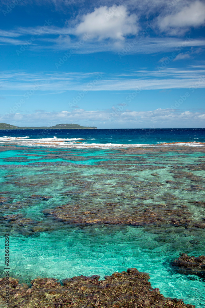 ニューカレドニア ロイヤルティ諸島　マレ島　タディーン海岸のサンゴ礁