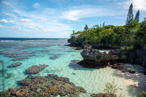 Fototapeta Naklejka Na Ścianę i Meble -  ニューカレドニア ロイヤルティ諸島　マレ島　タディーン海岸のサンゴ礁