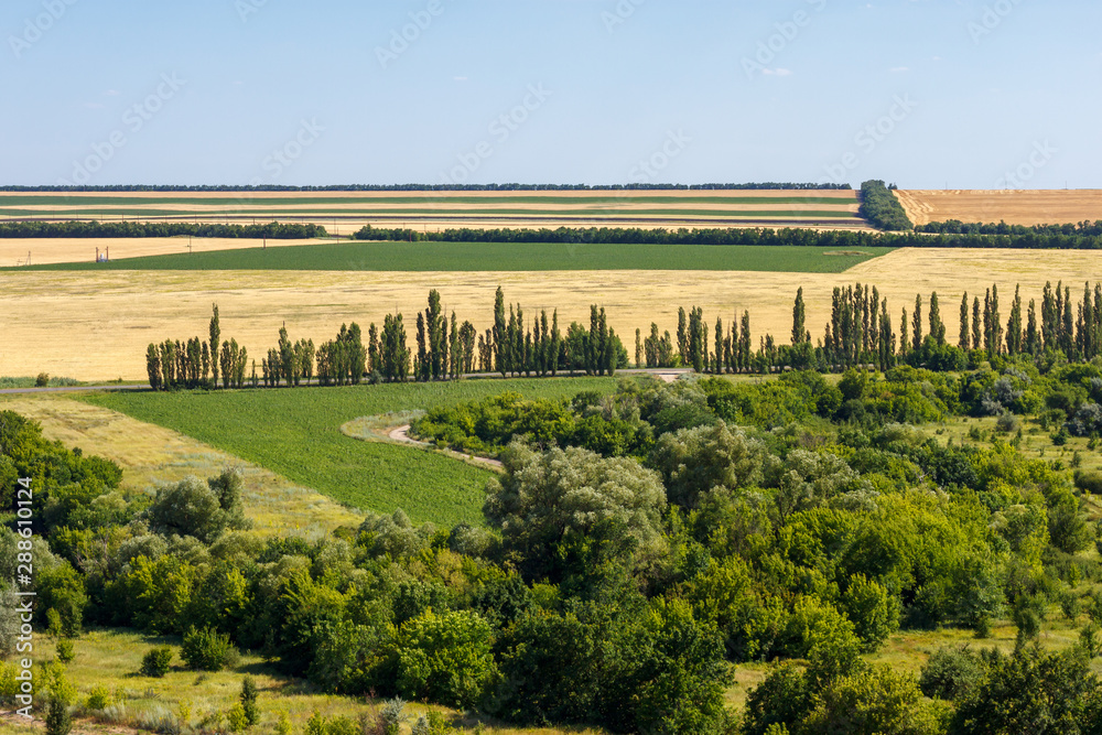 The landscape view with a green forest and yellow fields of harvested wheat