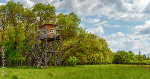 The hunting tower on the glade in the summer green forest in the daytime © Alexey Slyusarenko
