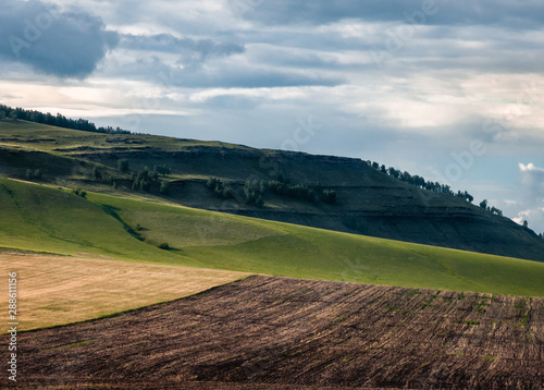 Wallpaper Mural Agricultural fields, meadows and grass hills in steppe at Khakassia, Siberia, Russia. Torontodigital.ca