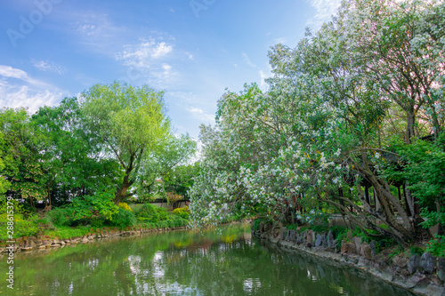 Garden scenery in Drunk White Pool Park  Shanghai  China