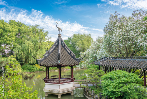 Canvas Print Garden scenery in Drunk White Pool Park, Shanghai, China