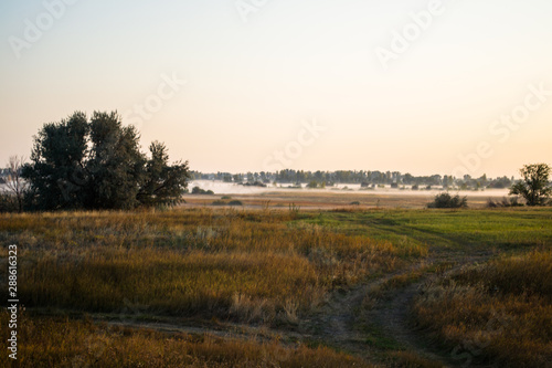 landscape in autumn