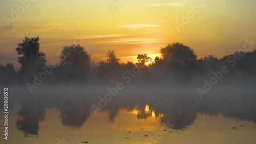 Sunrise At Foggy River In Summer