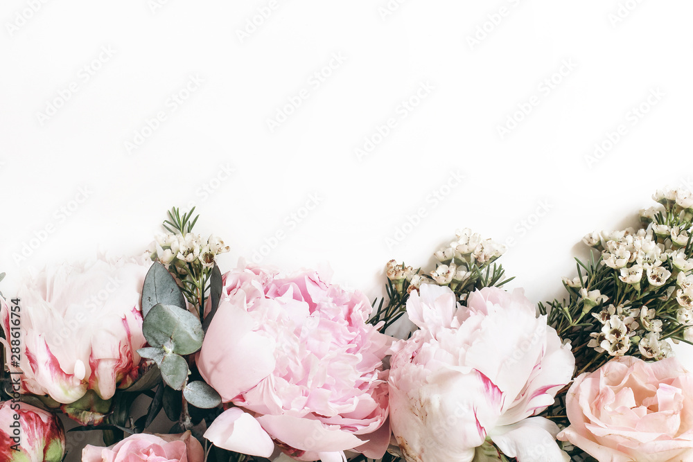 Decorative web banner made of beautiful pink peonies, rosies and eucalyptus isolated on white background. Feminine floral frame composition. Styled stock photo.Empty space. Flat lay, top view. - obrazy, fototapety, plakaty 