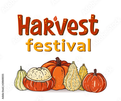Harvest Festival hand drawn lettering and typographic text with decorative pumpkins. Harvest symbols. Autumn harvest fest design for banner, poster, cards, tags. Isolated vector illustration