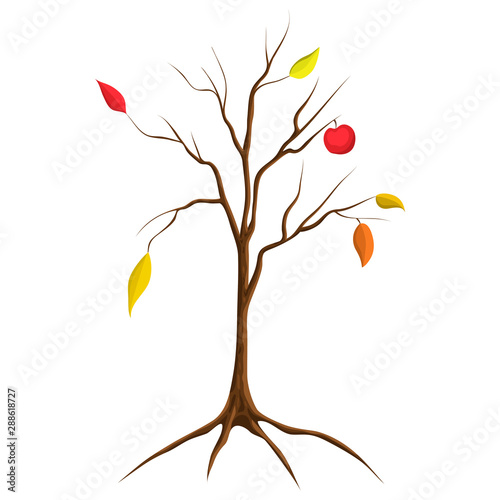 Cartoon illustration of bare apple tree isolated on white background. tree no leaves isolated. flat cartoon style. Autumn fall tree with some red and orange leaves and one apple on naked bare branches
