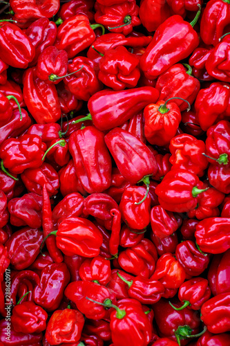 Pile of habanero red peppers