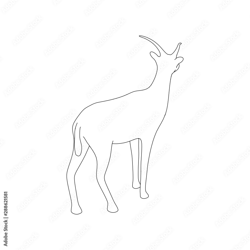 Gazzelle Isolated Line Gazzelle Isolated Line