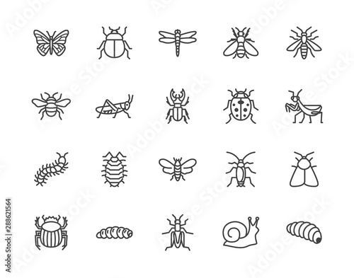 Insect flat line icons set. Butterfly, bug, dung beetle, grasshopper, cockroach, scarab, bee, caterpillar vector illustrations. Outline signs for insects pest. Pixel perfect 64x64. Editable Strokes