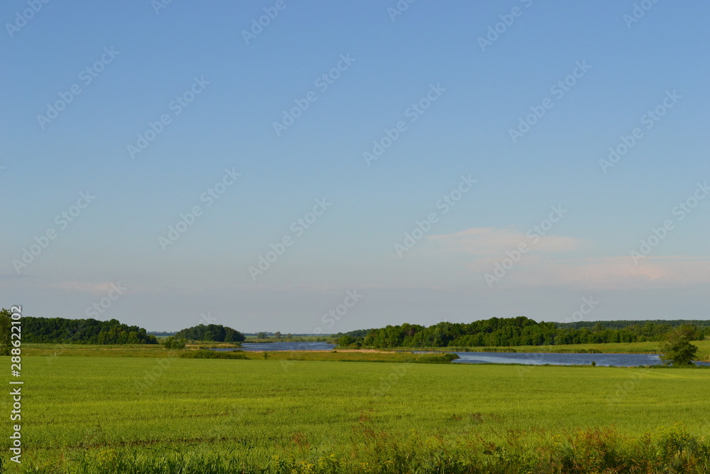 Beautiful summer landscape of the lake and plants Beautiful summer landscape of the lake and plants