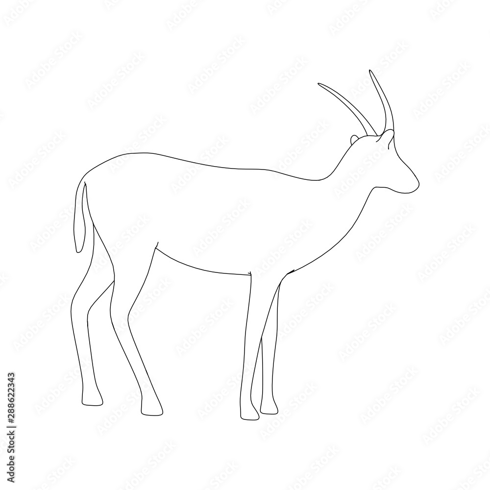 Obraz premium Gazzelle Isolated Pose Line