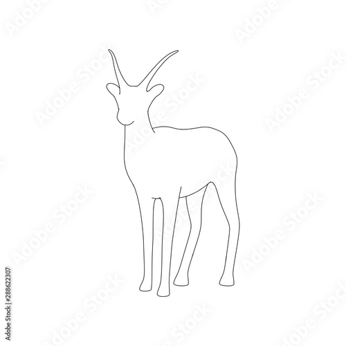 Gazzelle Isolated Pose Line