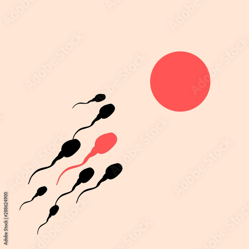 sperm and egg. vector illustration.