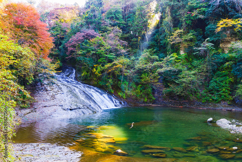 日本の秋のイメージ：首都圏を代表する紅葉の名所であり千葉のシンボルの養老渓谷の名瀑　粟又の滝の風景