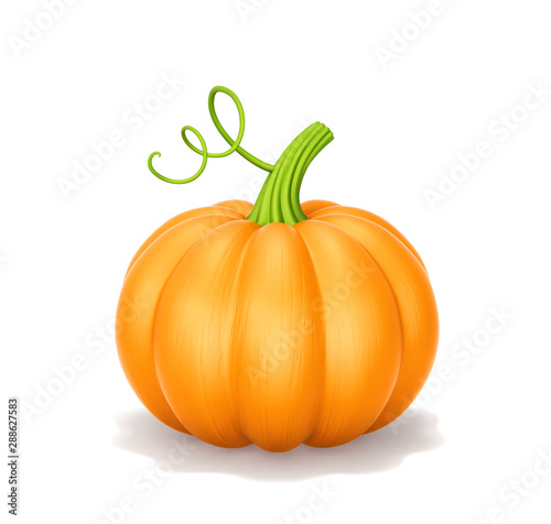 Tablou pe pânză Pumpkin on white background