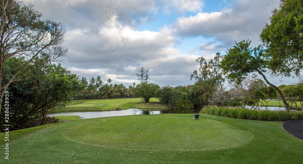 golf course with palm trees in Mauritius