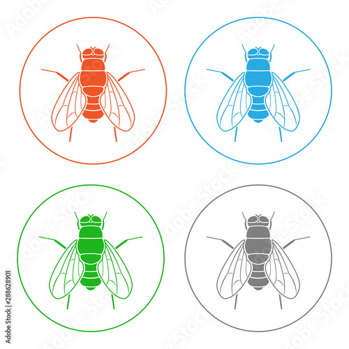 Drosophila fly. Icon set. Vector.