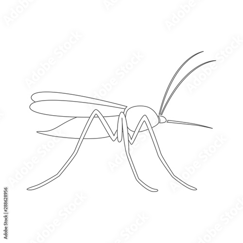 Gnat silhouette. Outline. Vector icon.