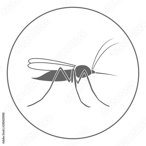 Gnat icon. Mosquito symbol. Vector.