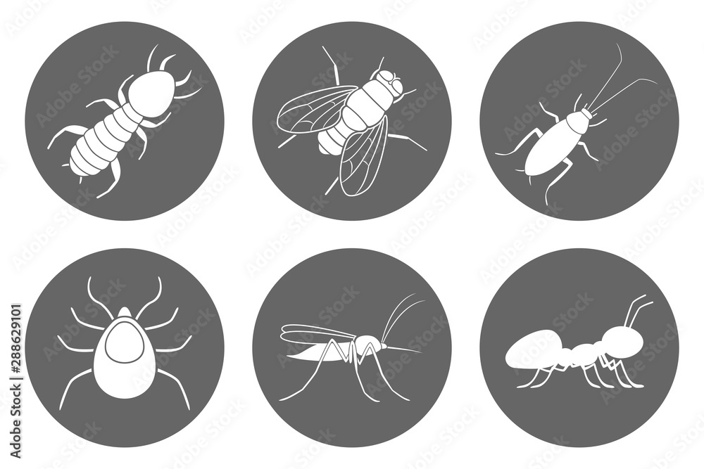 Insects icon set. Cockroach, termite, mosquito, fly, ant and tick. Vector.