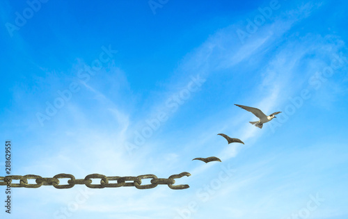 Cuadro en lienzo Broken metal chain with birds flying into the blue sky for freedom concept