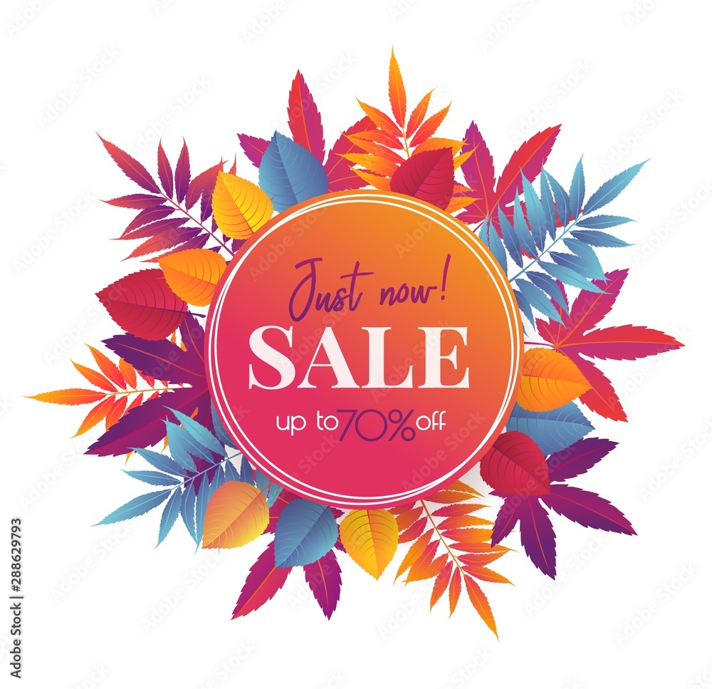 Autumn sale banner with bright autumn leaves