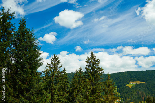 Beautiful summer landscape - countryside on hills with spruces, cloudy sky at bright sunny day. Village with wooden homes. Carpathian mountains. Ukraine. Europe. Travel background.