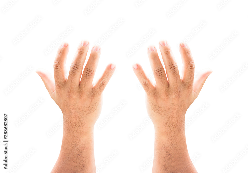 Obraz premium Closeup of open human hand gesture on white background representing reaching and catching concept