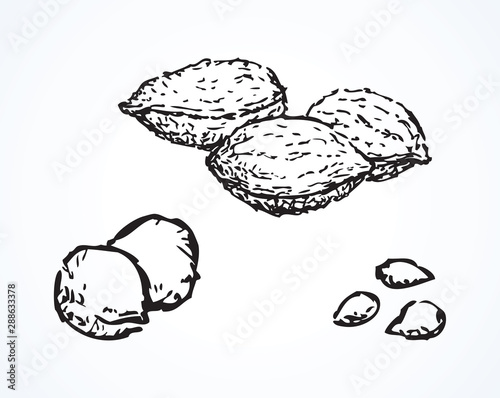 Series of vector illustrations of archaeological finds. Remains of linen, fruit stones and seeds