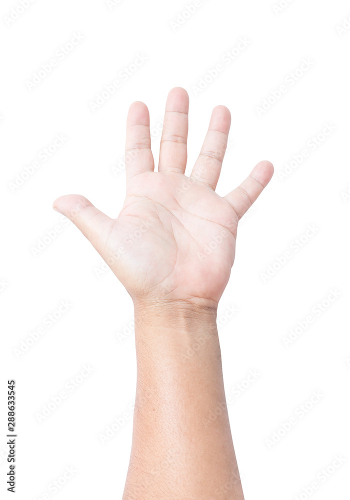 Hand raised isolated on with background Hand raised isolated on with background