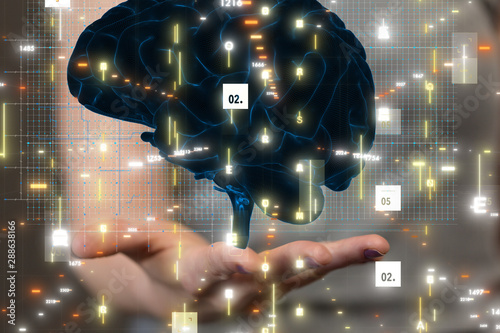 brain