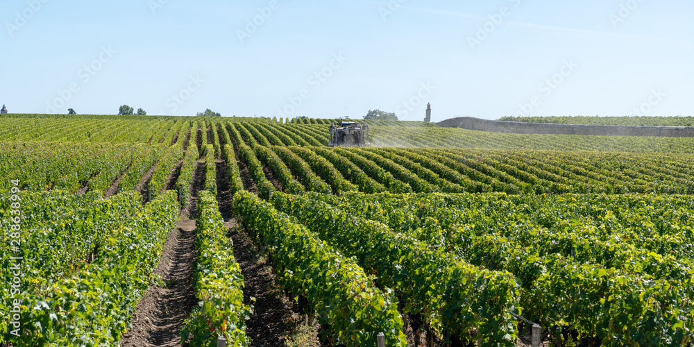 Spraying of grapevine in medoc Bordeaux vineyard in france